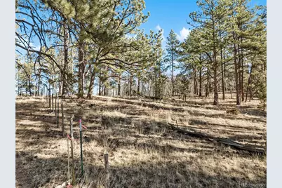 Lot 20 Echo Lake Drive, Florissant, CO 80827 - Photo 2