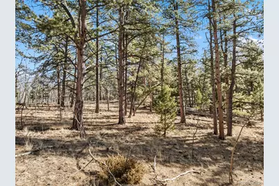 Lot 20 Echo Lake Drive, Florissant, CO 80827 - Photo 6