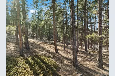 Lot 20 Echo Lake Drive, Florissant, CO 80827 - Photo 8