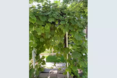 13082 Tejon Court, Denver, CO 80234 - Photo 48