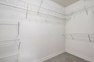 17315 Waterhouse Cir, Parker, CO 80134 - Photo 20