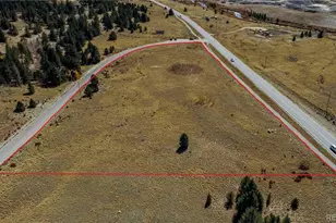 45 Platte River Dr, Fairplay, CO 80440 - Photo 1