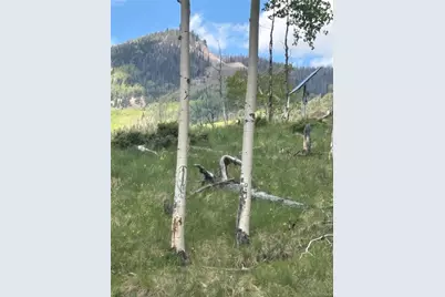 1113 Spring Street, Jasper, CO 81144 - Photo 8