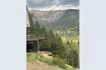 1113 Spring Street, Jasper, CO 81144 - Photo 16