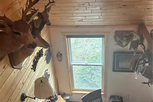 1113 Spring St, Jasper, CO 81144 - Photo 18