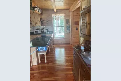 1113 Spring Street, Jasper, CO 81144 - Photo 26