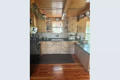 1113 Spring Street, Jasper, CO 81144 - Photo 22