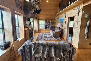 1113 Spring St, Jasper, CO 81144 - Photo 12