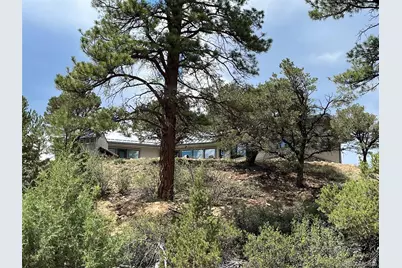 13030 County Road 261D, Nathrop, CO 81236 - Photo 46