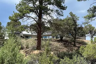 13030 Co Rd 261D, Nathrop, CO 81236 - Photo 46