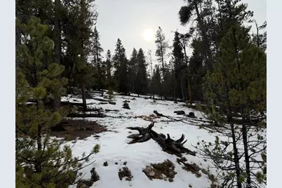 124 Lodgepole Drive, Twin Lakes, CO 81251 - Photo 6