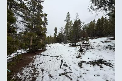 124 Lodgepole Drive, Twin Lakes, CO 81251 - Photo 2