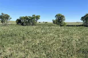 27933 Private Rd 139, Simla, CO 80835 - Photo 1