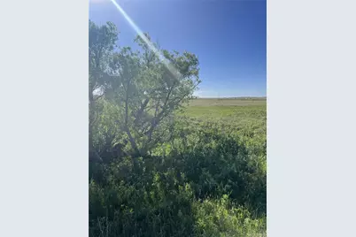 27933 Private Road 139, Simla, CO 80835 - Photo 2