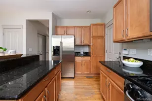 2666 Emporia St, Denver, CO 80238 - Photo 22
