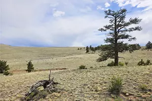 Pcs#24131 Chato Rd, Hartsel, CO 80449 - Photo 1