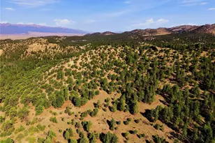 2323 Cr 323, Westcliffe, CO 81252 - Photo 26