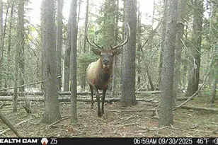 Lot 3427 Grojean Dr, Fort Garland, CO 81133 - Photo 1