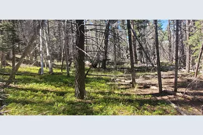 Lot 3427 Grojean Drive, Fort Garland, CO 81133 - Photo 8