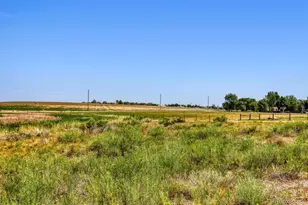 6771 Steven St, Windsor, CO 80550 - Photo 40