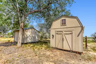 6771 Steven St, Windsor, CO 80550 - Photo 36