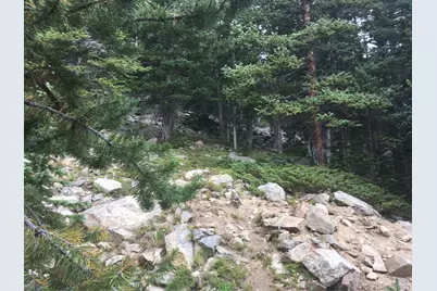 Nebraska Circle, Idaho Springs, CO 80452 - Photo 10
