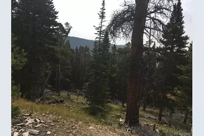 Nebraska Circle, Idaho Springs, CO 80452 - Photo 10
