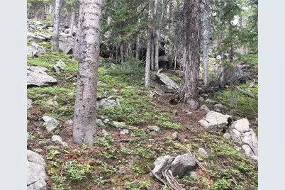 Nebraska Circle, Idaho Springs, CO 80452 - Photo 12