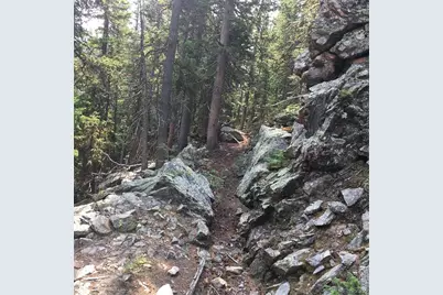 Nebraska Circle, Idaho Springs, CO 80452 - Photo 12