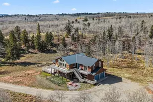 174 Skid Ct, Fairplay, CO 80440 - Photo 2