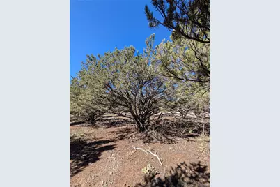 112 Baca Grant Way, Crestone, CO 81131 - Photo 14