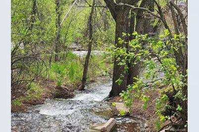 Buena Vista, Palmer Lake, CO 80133 - Photo 2
