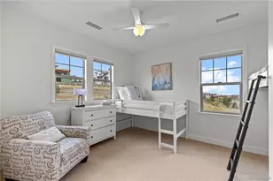 10815 Timberdash Ave, Highlands Ranch, CO 80126 - Photo 22