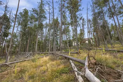 27687 Pine Grove Trail, Conifer, CO 80433 - Photo 26