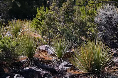 Lot 67 Alta Mesa Drive, San Luis, CO 81152 - Photo 28