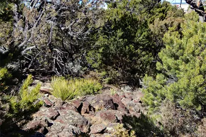 Lot 67 Alta Mesa Drive, San Luis, CO 81152 - Photo 24