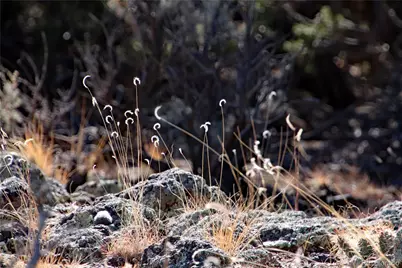 Lot 67 Alta Mesa Drive, San Luis, CO 81152 - Photo 30