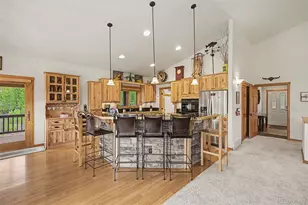 51 Mulligan St, Fraser, CO 80442 - Photo 16