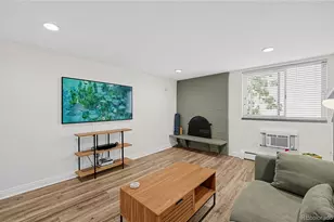 1125 N Washington St, Denver, CO 80203 - Photo 8