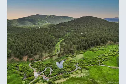 3763 County Road 43, Bailey, CO 80421 - Photo 10