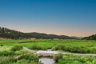 3763 Co Rd 43, Bailey, CO 80421 - Photo 12