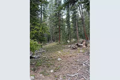914 Bobcat Lane, Fairplay, CO 80440 - Photo 12