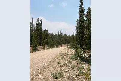 914 Bobcat Lane, Fairplay, CO 80440 - Photo 6