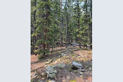 914 Bobcat Lane, Fairplay, CO 80440 - Photo 10