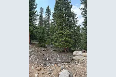 914 Bobcat Lane, Fairplay, CO 80440 - Photo 8