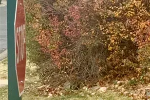 1815 Spaulding Cir, Superior, CO 80027 - Photo 24