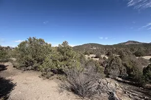 91 King Pl, Cotopaxi, CO 81223 - Photo 1