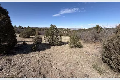 91 King Place, Cotopaxi, CO 81223 - Photo 8