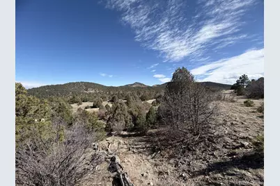 91 King Place, Cotopaxi, CO 81223 - Photo 2