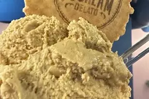 1230 Eudora St, Denver, CO 80220 - Photo 36